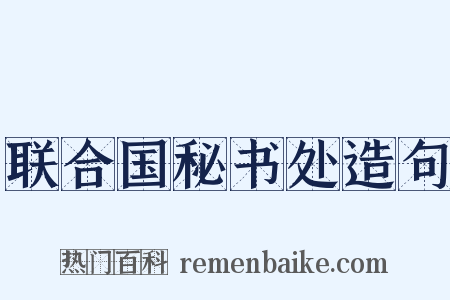 联合国秘书处造句是什么意思的图片